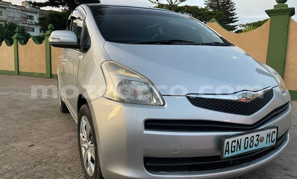 Buy Used Toyota Ractis Other Car in Maputo in Maputo