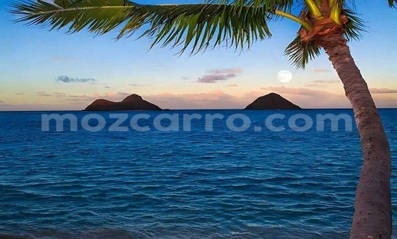 Tenga Tsaru Mazda BT-50 Zvimwe Mota in Maputo in Maputo Tenga Tsaru Mazda BT-50 Zvimwe Mota in Maputo in Maputo