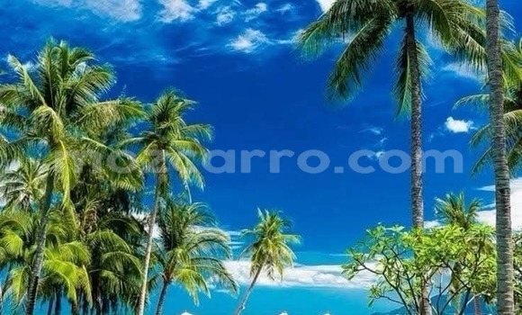 Comprar Usado Toyota Axio De outros Carro em Maputo em Maputo Comprar Usado Toyota Axio De outros Carro em Maputo em Maputo