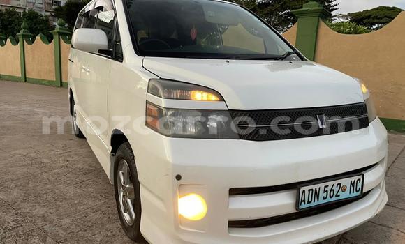 Tenga Tsaru Toyota Voxy Chena Mota in Maputo in Maputo Tenga Tsaru Toyota Voxy Chena Mota in Maputo in Maputo