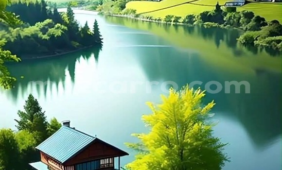 Comprar Usado Nissan Juke Vermelho Carro em Maputo em Maputo Comprar Usado Nissan Juke Vermelho Carro em Maputo em Maputo