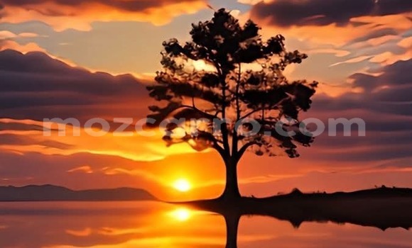 Comprar Usado BMW X3 Preto Carro em Maputo em Maputo Comprar Usado BMW X3 Preto Carro em Maputo em Maputo