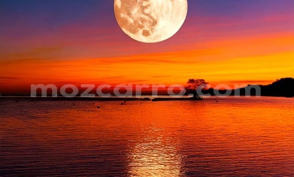 Tenga Tsaru Ford Ranger Zvimwe Mota in Maputo in Maputo Tenga Tsaru Ford Ranger Zvimwe Mota in Maputo in Maputo