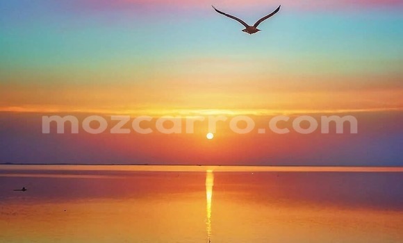 Buy Used Nissan Dualis Other Car in Maputo in Maputo Buy Used Nissan Dualis Other Car in Maputo in Maputo