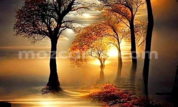 Comprar Usado Ford Ranger Preto Carro em Maputo em Maputo Comprar Usado Ford Ranger Preto Carro em Maputo em Maputo