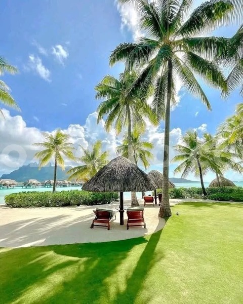 Big with watermark nissan x trail maputo maputo 36162