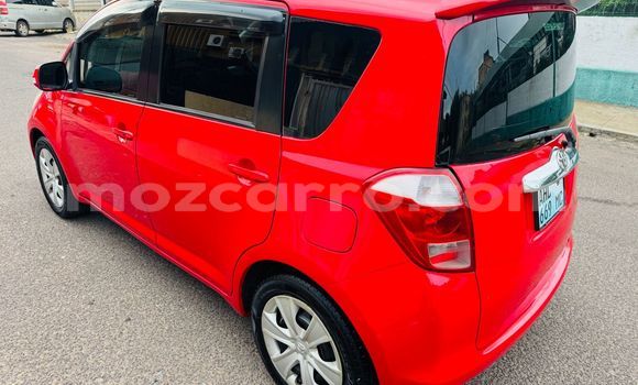 Buy Used Toyota Ractis Red Car in Maputo in Maputo Buy Used Toyota Ractis Red Car in Maputo in Maputo