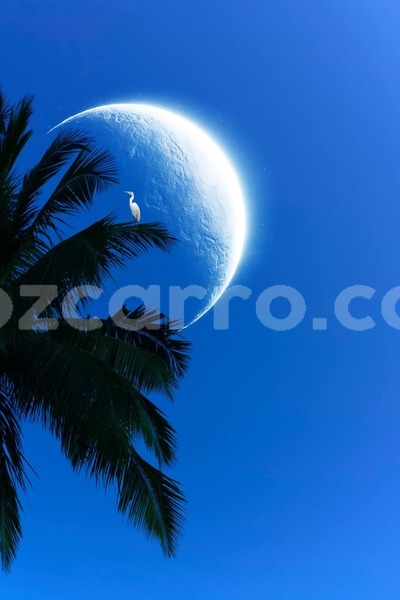 Big with watermark toyota fortuner maputo maputo 36168