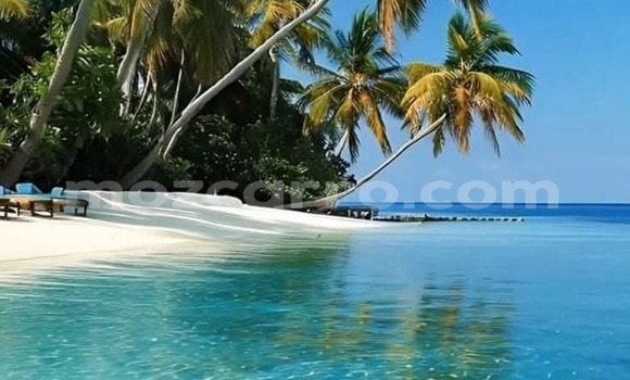 Nunua Ilio tumika Honda CR-V Nyingine Gari ndani ya Maputo nchini Maputo Nunua Ilio tumika Honda CR-V Nyingine Gari ndani ya Maputo nchini Maputo