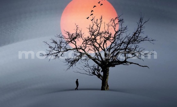 Comprar Usado Ford Ranger Vermelho Carro em Maputo em Maputo Comprar Usado Ford Ranger Vermelho Carro em Maputo em Maputo