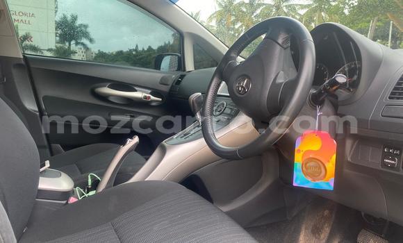 Tenga Tsaru Toyota Auris Sirivha Mota in Maputo in Maputo Tenga Tsaru Toyota Auris Sirivha Mota in Maputo in Maputo