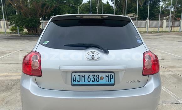 Tenga Tsaru Toyota Auris Sirivha Mota in Maputo in Maputo Tenga Tsaru Toyota Auris Sirivha Mota in Maputo in Maputo