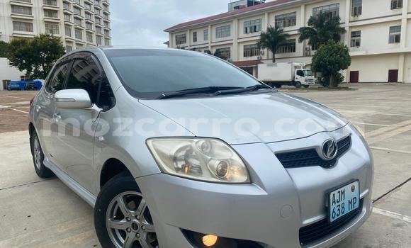 Tenga Tsaru Toyota Auris Sirivha Mota in Maputo in Maputo Tenga Tsaru Toyota Auris Sirivha Mota in Maputo in Maputo