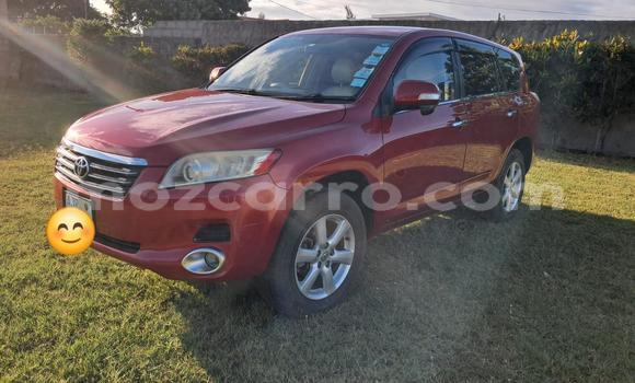 Comprar Usado Toyota Vanguard Vermelho Carro em Maputo em Maputo