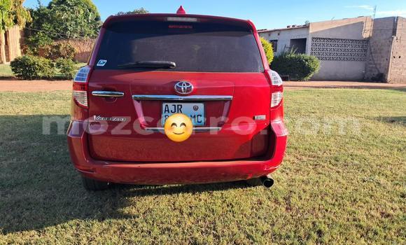 Tenga Tsaru Toyota Vanguard Tsvuku Mota in Maputo in Maputo Tenga Tsaru Toyota Vanguard Tsvuku Mota in Maputo in Maputo