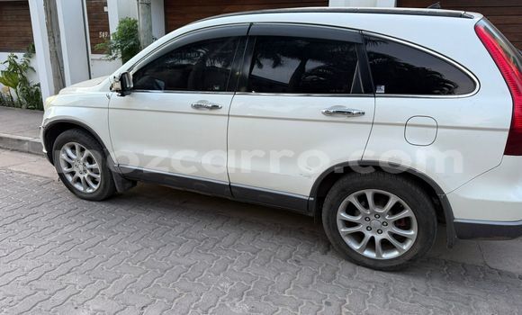 Tenga Tsaru Honda CR-V Chena Mota in Maputo in Maputo Tenga Tsaru Honda CR-V Chena Mota in Maputo in Maputo