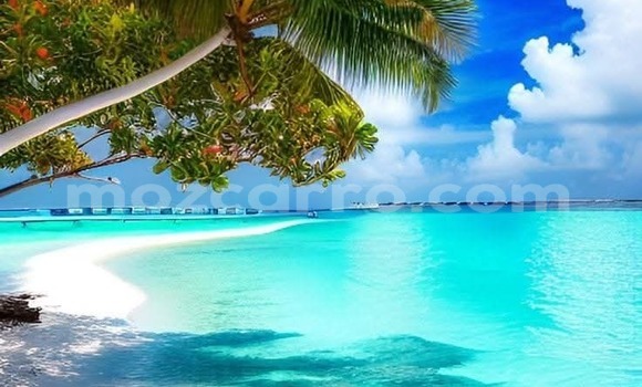 Comprar Usado BMW X1 Branco Carro em Maputo em Maputo Comprar Usado BMW X1 Branco Carro em Maputo em Maputo