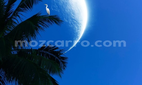 Buy Used Toyota Harrier Black Car in Maputo in Maputo Buy Used Toyota Harrier Black Car in Maputo in Maputo