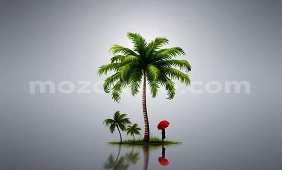 Nunua Mpya Toyota RAV4 Nyeupe Gari ndani ya Maputo nchini Maputo Nunua Mpya Toyota RAV4 Nyeupe Gari ndani ya Maputo nchini Maputo