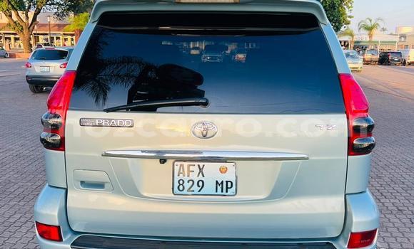 Tenga Tsaru Toyota Land Cruiser Prado Zvimwe Mota in Maputo in Maputo Tenga Tsaru Toyota Land Cruiser Prado Zvimwe Mota in Maputo in Maputo