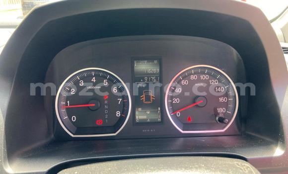 Tenga Tsaru Honda CR-V Nhema Mota in Maputo in Maputo Tenga Tsaru Honda CR-V Nhema Mota in Maputo in Maputo