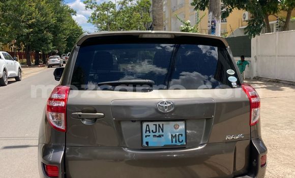 Buy Used Toyota RAV4 Silver Car in Maputo in Maputo Buy Used Toyota RAV4 Silver Car in Maputo in Maputo