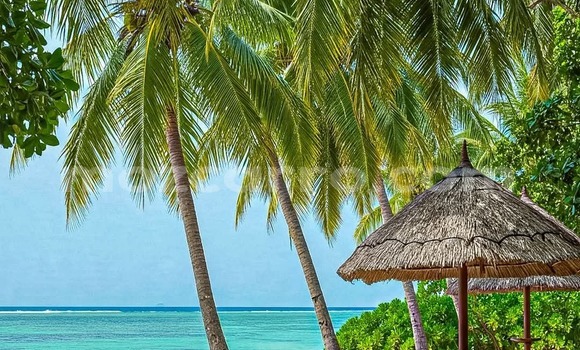 Buy Used Ford Ranger White Car in Maputo in Maputo Buy Used Ford Ranger White Car in Maputo in Maputo