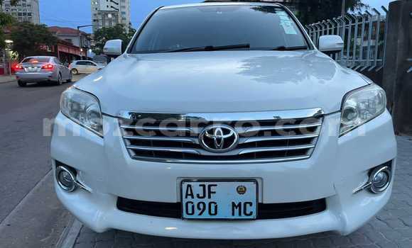 Tenga Tsaru Toyota Vanguard Chena Mota in Maputo in Maputo