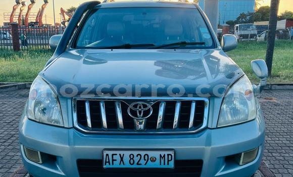 Tenga Tsaru Toyota Prado Zvimwe Mota in Maputo in Maputo Tenga Tsaru Toyota Prado Zvimwe Mota in Maputo in Maputo