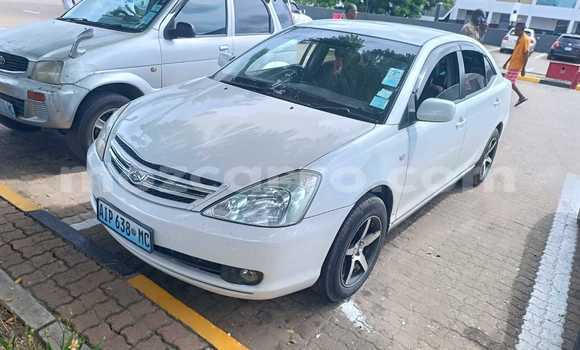 Tenga Tsaru Toyota Allion Chena Mota in Maputo in Maputo Tenga Tsaru Toyota Allion Chena Mota in Maputo in Maputo
