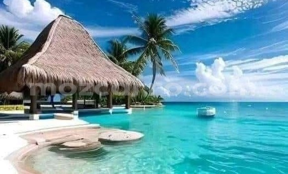 Buy Used Toyota Hilux Other Car in Maputo in Maputo Buy Used Toyota Hilux Other Car in Maputo in Maputo