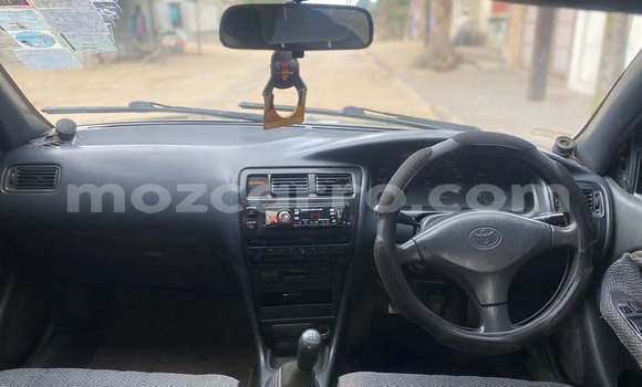Comprar Usado Toyota Corolla De outros Carro em Macia em Gaza Comprar Usado Toyota Corolla De outros Carro em Macia em Gaza