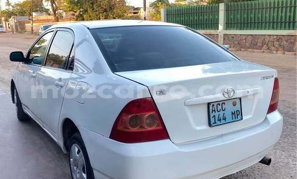 Comprar Usado Toyota Corolla Branco Carro em Caia em Sofala Comprar Usado Toyota Corolla Branco Carro em Caia em Sofala