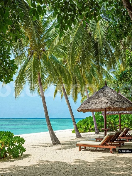 Big with watermark nissan x trail maputo maputo 36392