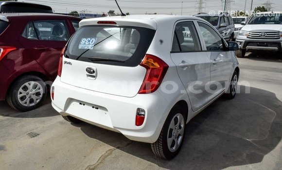 Tenga Imported Kia Picanto Chena Mota in Import - Dubai in Cabo Delgado Tenga Imported Kia Picanto Chena Mota in Import - Dubai in Cabo Delgado