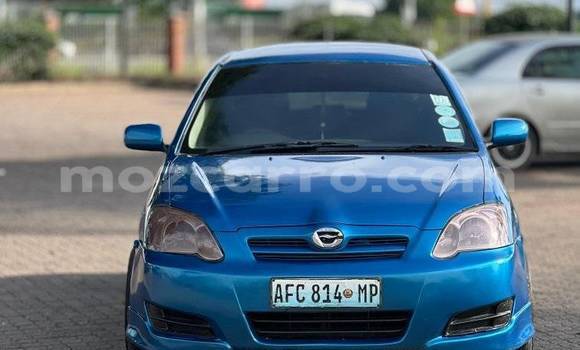 Tenga Tsaru Toyota Runx Chena Mota in Beautiful vista in Maputo Tenga Tsaru Toyota Runx Chena Mota in Beautiful vista in Maputo