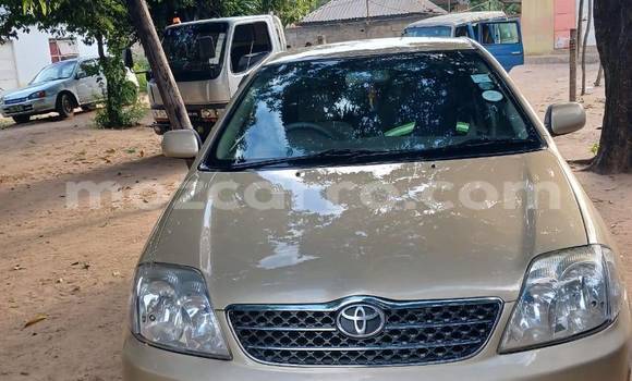 Tenga Tsaru Toyota Scepter Zvimwe Mota in Caia in Sofala Tenga Tsaru Toyota Scepter Zvimwe Mota in Caia in Sofala