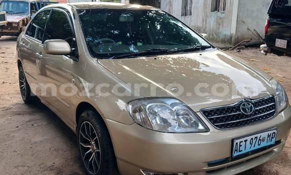 Tenga Tsaru Toyota Scepter Zvimwe Mota in Caia in Sofala Tenga Tsaru Toyota Scepter Zvimwe Mota in Caia in Sofala