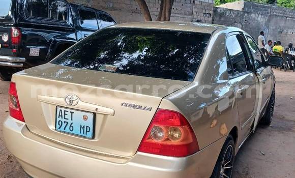 Tenga Tsaru Toyota Scepter Zvimwe Mota in Caia in Sofala Tenga Tsaru Toyota Scepter Zvimwe Mota in Caia in Sofala