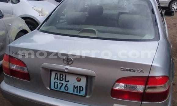 Comprar Usado Toyota Corolla De outros Carro em Maputo em Maputo Comprar Usado Toyota Corolla De outros Carro em Maputo em Maputo