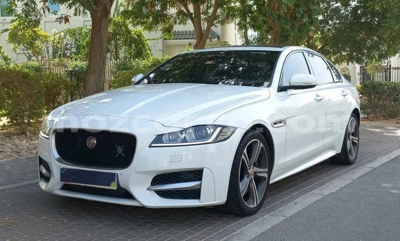 Comprar Usado Jaguar XF Branco Carro em Maputo em Maputo