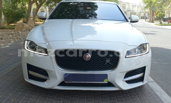 Buy Used Jaguar XF White Car in Maputo in Maputo Buy Used Jaguar XF White Car in Maputo in Maputo