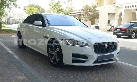 Buy Used Jaguar XF White Car in Maputo in Maputo Buy Used Jaguar XF White Car in Maputo in Maputo