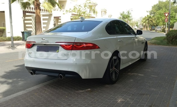 Buy Used Jaguar XF White Car in Maputo in Maputo Buy Used Jaguar XF White Car in Maputo in Maputo