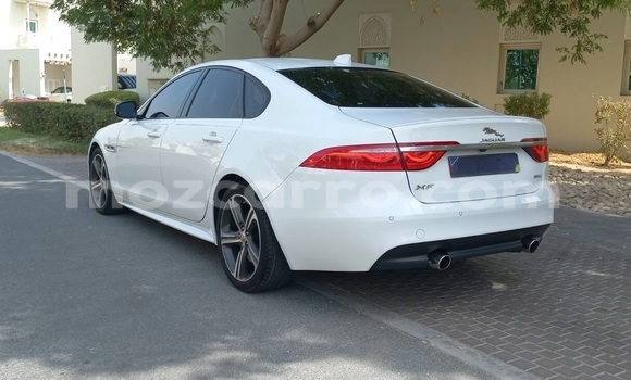 Buy Used Jaguar XF White Car in Maputo in Maputo Buy Used Jaguar XF White Car in Maputo in Maputo