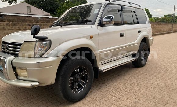 Tenga Tsaru Toyota Land Cruiser Prado Sirivha Mota in Maputo in Maputo Tenga Tsaru Toyota Land Cruiser Prado Sirivha Mota in Maputo in Maputo