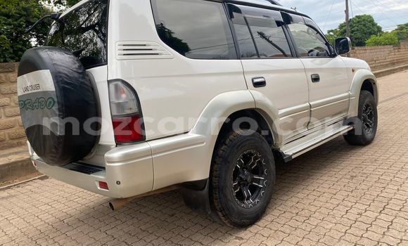 Tenga Tsaru Toyota Land Cruiser Prado Sirivha Mota in Maputo in Maputo Tenga Tsaru Toyota Land Cruiser Prado Sirivha Mota in Maputo in Maputo