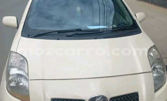 Buy Used Toyota Vitz Other Car in Maputo in Maputo Buy Used Toyota Vitz Other Car in Maputo in Maputo