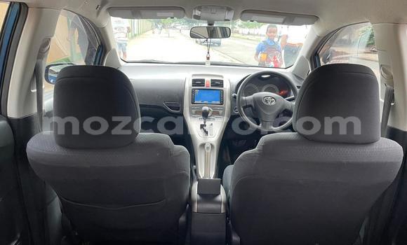 Tenga Tsaru Toyota Auris Bhuruu Mota in Maputo in Maputo Tenga Tsaru Toyota Auris Bhuruu Mota in Maputo in Maputo