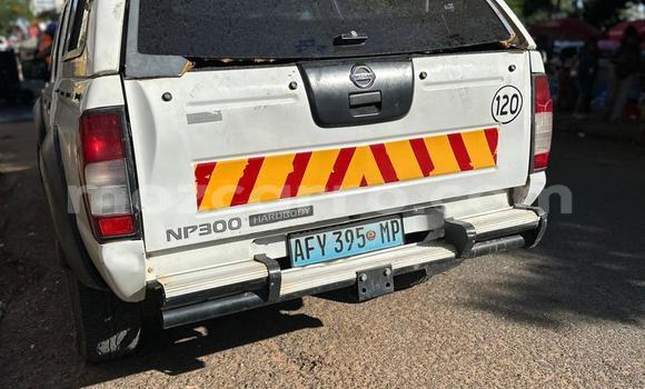 Tenga Tsaru Nissan Hardbody Chena Mota in Maputo in Maputo Tenga Tsaru Nissan Hardbody Chena Mota in Maputo in Maputo